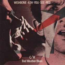 Wishbone Ash : You See Red